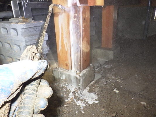 基礎周りといった被害の進行しやすい場所も処理してもらえて安心です