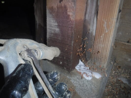 以前に頼んだ業者より料金も安いのにまったく手間もかからなかったので大満足です