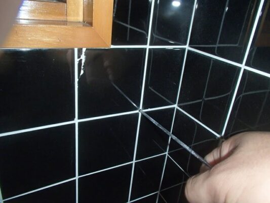 諦めていた風呂場の消毒も隣から壁に穴を開けて対応していただけました