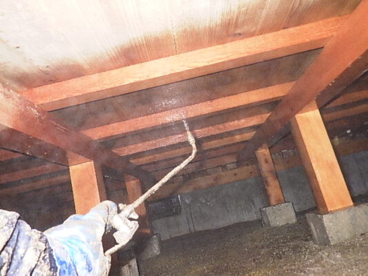床下の水漏れがないこともしっかり確認してもらえてホッとしました