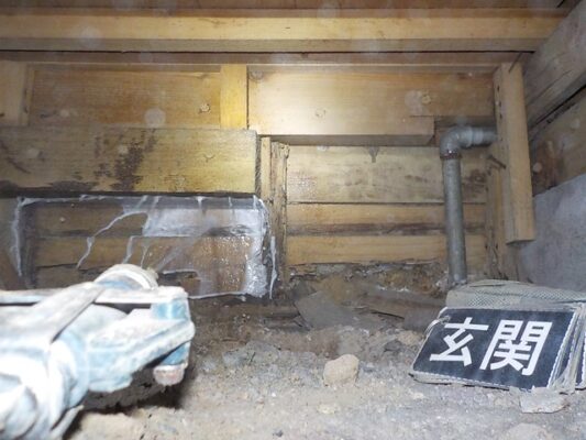 蟻が出入りしていた穴も丁寧に塞いでいただきました
