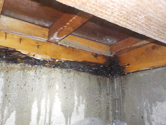 当初の予約より10平米広がったことで料金は少し上がりましたが