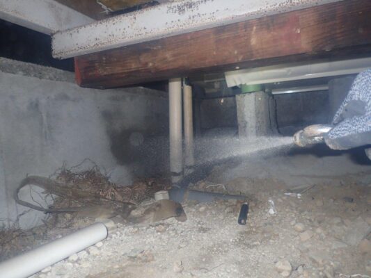 庭で白アリが発生しそうな場所を教えてくれて助かりました