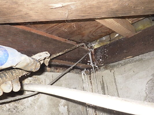 期待以上のサービスで大満足。5年後もぜひお願いしたいです。