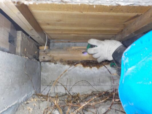 害虫の予防法についても知らなかったことが多くて驚きました