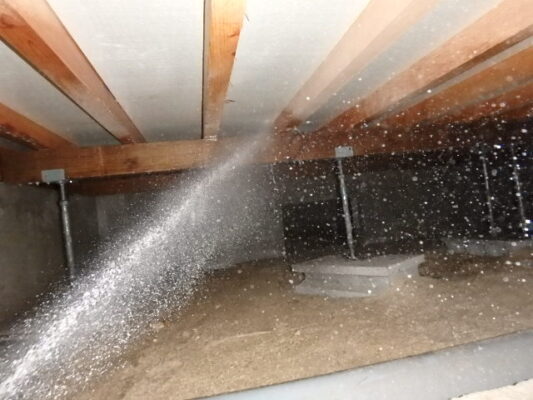 畳を持ち上げた瞬間、下の木材にシロアリの蟻道がびっしりでした。