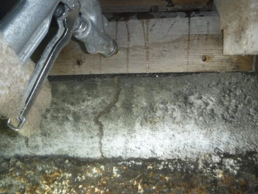 まさかシロアリが断熱材まで食べるとは思わず驚きました