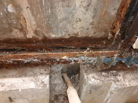 畳の下や壁の中に巣があり、思った以上に被害が広がっていました。