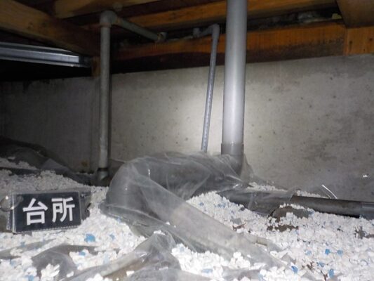 すぐに駆除と防除工事を依頼。やっぱりプロに頼んでよかったです。