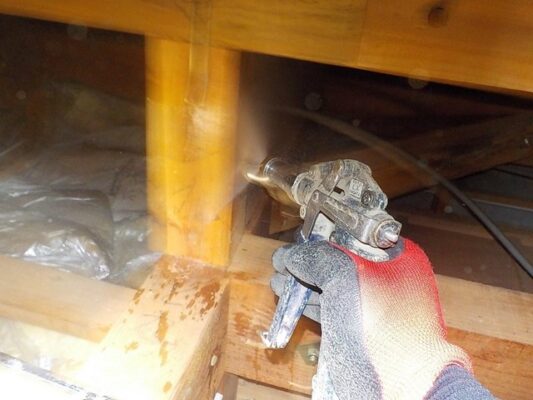 点検してもらうとやはり床下の木材が被害にあっていました