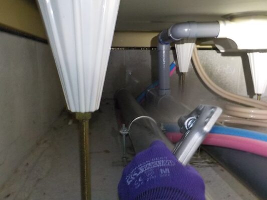 早めに駆除してもらい、大事には至りませんでした。