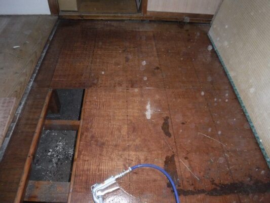 このまま放置していたら床が抜ける可能性もあったそうです