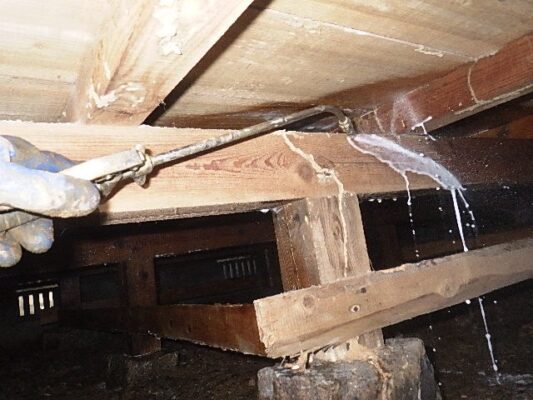 湿気が多い場所では2階でも被害が出ることがあるそうです