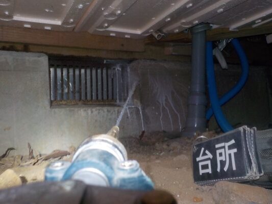 長年の湿気で木材がシロアリの温床になっていたとのこと