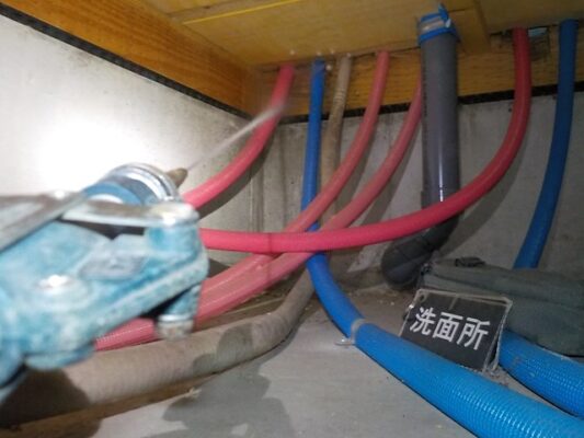 すぐに駆除して傷んだ部分を補修。防湿処理も施してもらいました