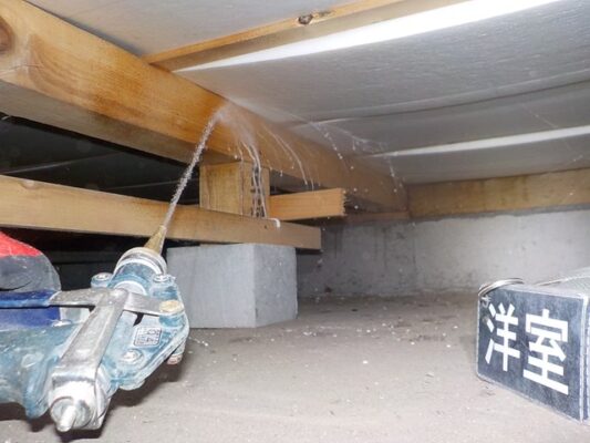 気づかないうちにあちこち被害が広がるそうです