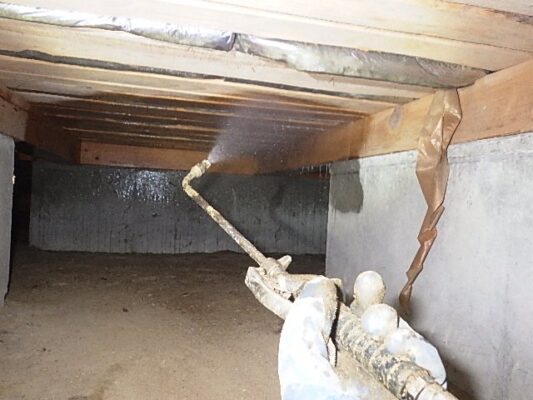 水分が木部に伝わりそこがシロアリの発生源になっていました