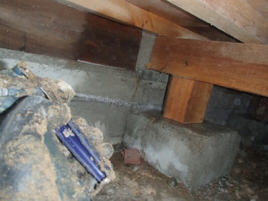 床下に羽アリがいて焦って業者に相談しました