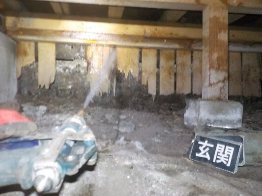 浴室の壁に小さな穴が…まさかのシロアリに衝撃