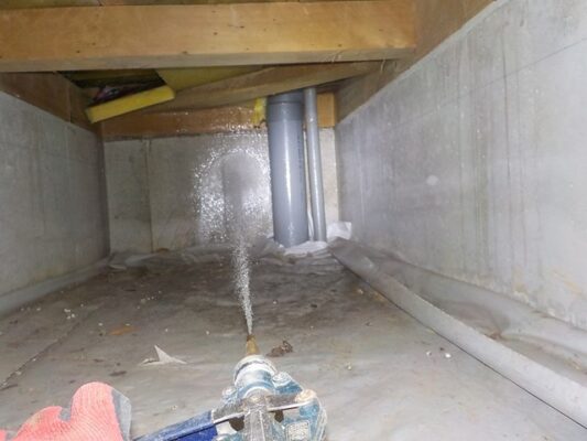 羽アリの出る時期だけ注意すればいいと思ってたけど…