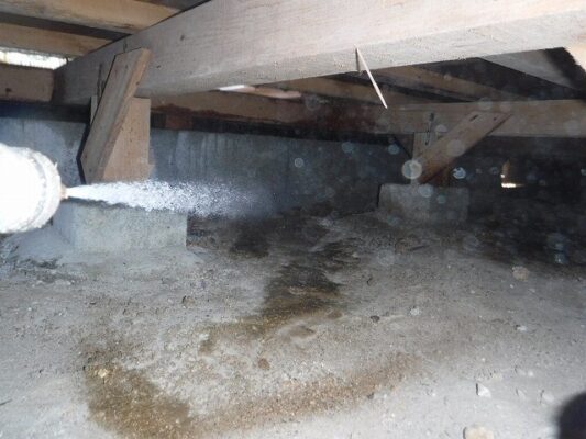 築10年の家でも油断禁物…お風呂の点検口から羽アリが！