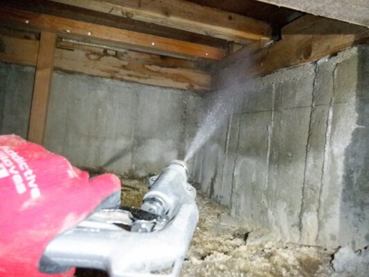 シロアリが木の内部を食べ進めていて外側だけが残っている状態でした