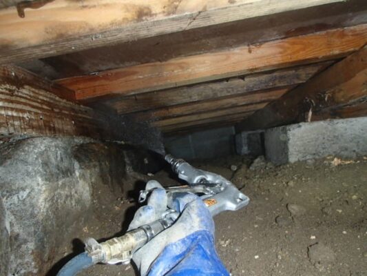 土台部分からシロアリが侵入していて木材の被害も進んでいるとのこと