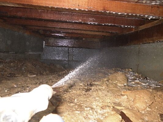 駆除後は定期的に点検してもらう契約をして安心感が違います