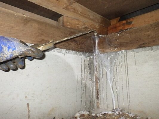 どこを処理したのか写真で説明してくれて信頼感がありました