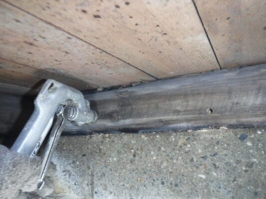 一生懸命に巣を駆除してくれたのでとても感謝しています