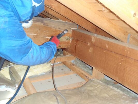 進行が静かだったため、早期発見で助かりました。