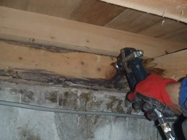 写真も見せていただき納得して作業をお任せできました