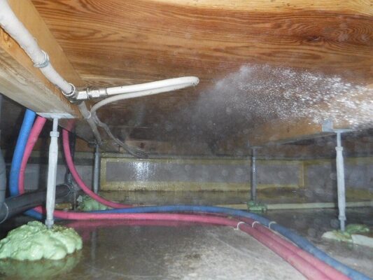 被害がひどくなる前に駆除できて本当に良かったです