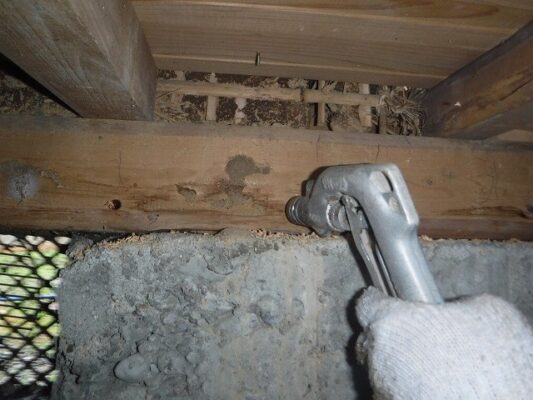 無臭タイプの薬剤で対応してもらいました