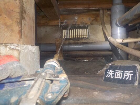 デッキ部分だけでなく家本体への被害も心配でした