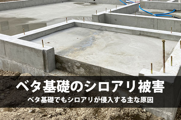 ベタ基礎のシロアリ被害