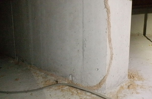 ベタ基礎でも発生したシロアリ被害(築12年の戸建て) ベタ基礎でも発生したシロアリ被害(築12年の戸建て)