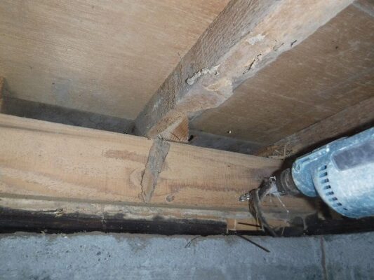 被害がありましたが早期に気づけたことは幸運でした