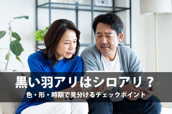 黒い羽アリはシロアリ？色・形・時期で見分けるチェックポイント