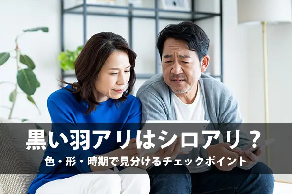 黒い羽アリはシロアリ?色・形・時期で見分けるチェックポイント