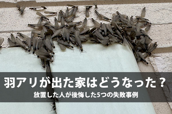 羽アリが出た家はどうなった？放置した人が後悔した5つの失敗事例