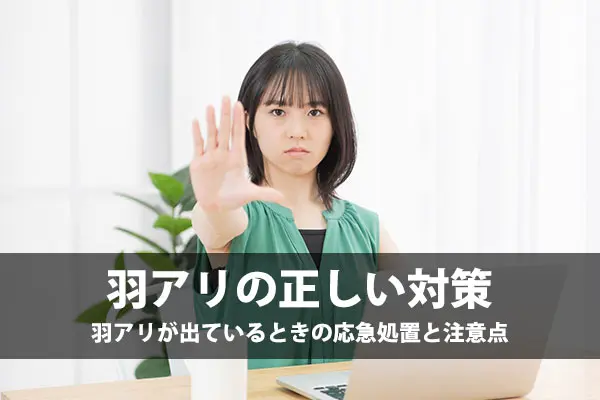 羽アリを見つけたときの正しい対策|羽アリが出ているときの応急処置と注意点