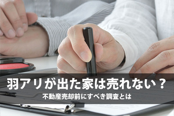 羽アリが出た家は売れない？不動産売却前にすべき調査とは