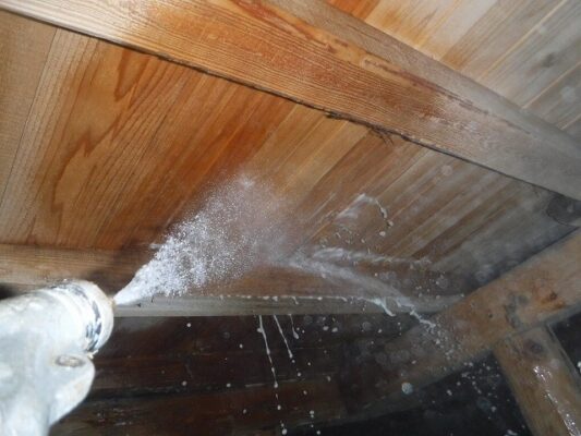 すぐに駆除作業をお願いしました。対応の早さに感謝しています。