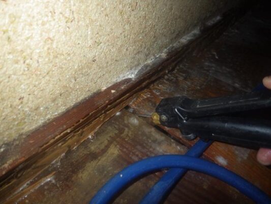 床下の湿気やシロアリ痕跡が見つかり、早めに対応してもらえました。