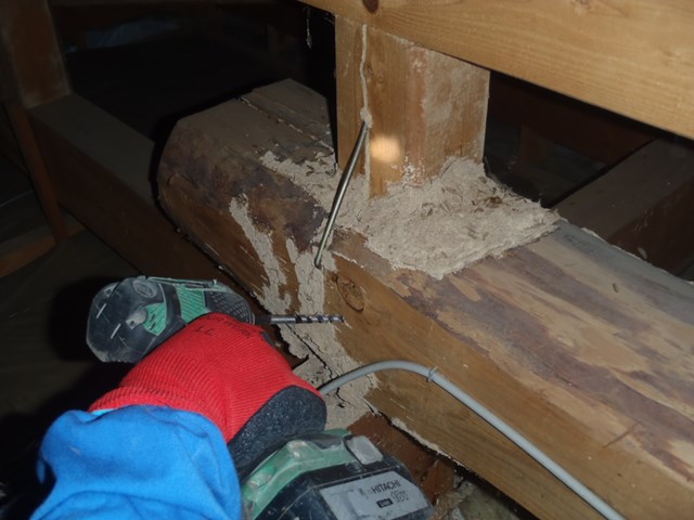 長生郡長生村のシロアリ駆除施工事例|木造戸建・築35年|I.K様邸