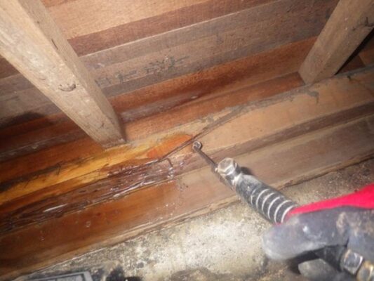 シロアリの被害がありショックでした。屋外だからと油断していました。