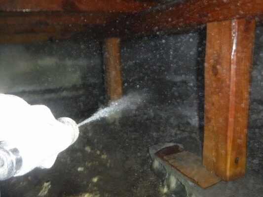 点検を依頼したところ、床下でシロアリの初期被害が見つかりました。