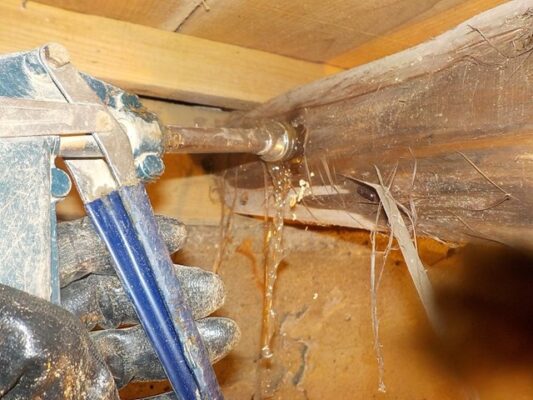 最初に依頼しておいて本当に良かったと思います。