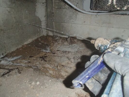 結果はシロアリ被害あり。基礎と土台の境目から侵入していたようです。